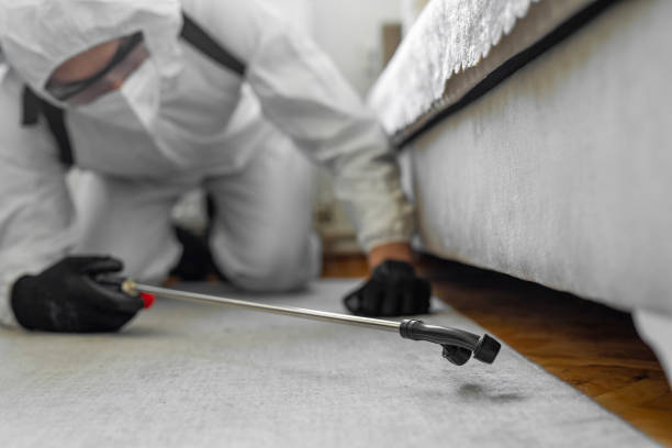 Professional Bed Bug Control technician working in Rock Rapids, IA