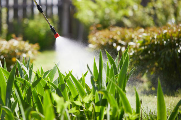 24/7 Emergency Bed Bug Control experts in Rock Rapids, IA